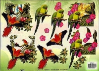 3D-Bogen, geprgt - Motiv Papageien im Dschungel