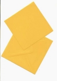 Viereckkarte mit Briefumschlag, melone