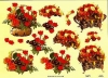 3D-Bogen, geprgt - Motiv Bunte Blumen in Krben