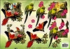 3D-Bogen, geprgt - Motiv Papageien im Dschungel