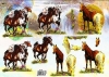 3D-Bogen, geprgt - Motiv Wildpferde