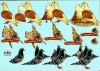 3D-Bogen - Motiv Kakadu und Tauben