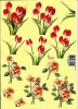 3D-Bogen - Motiv Rosen und Tulpen II