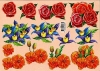 3D-Bogen - Motiv  Bunte Blumenmischung -