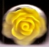 Click Button Druckknopf - gelb Rose