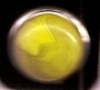 Click Button Druckknopf - gelb