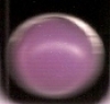 Click Button Druckknopf - violett