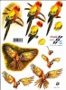 3D-Bogen - Motiv Papageien
