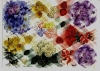 3D-Bogen, geprgt - Motiv Farbenpracht der Blumenwelt