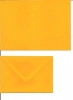 Klappkarte - butterblume - mit Briefumschlag