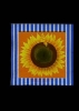 Motiv-Serviette, Sonnenblume