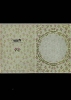 Transparentkarte, geprgt - Motiv Miniblmchen