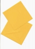 Viereckkarte mit Briefumschlag, melone